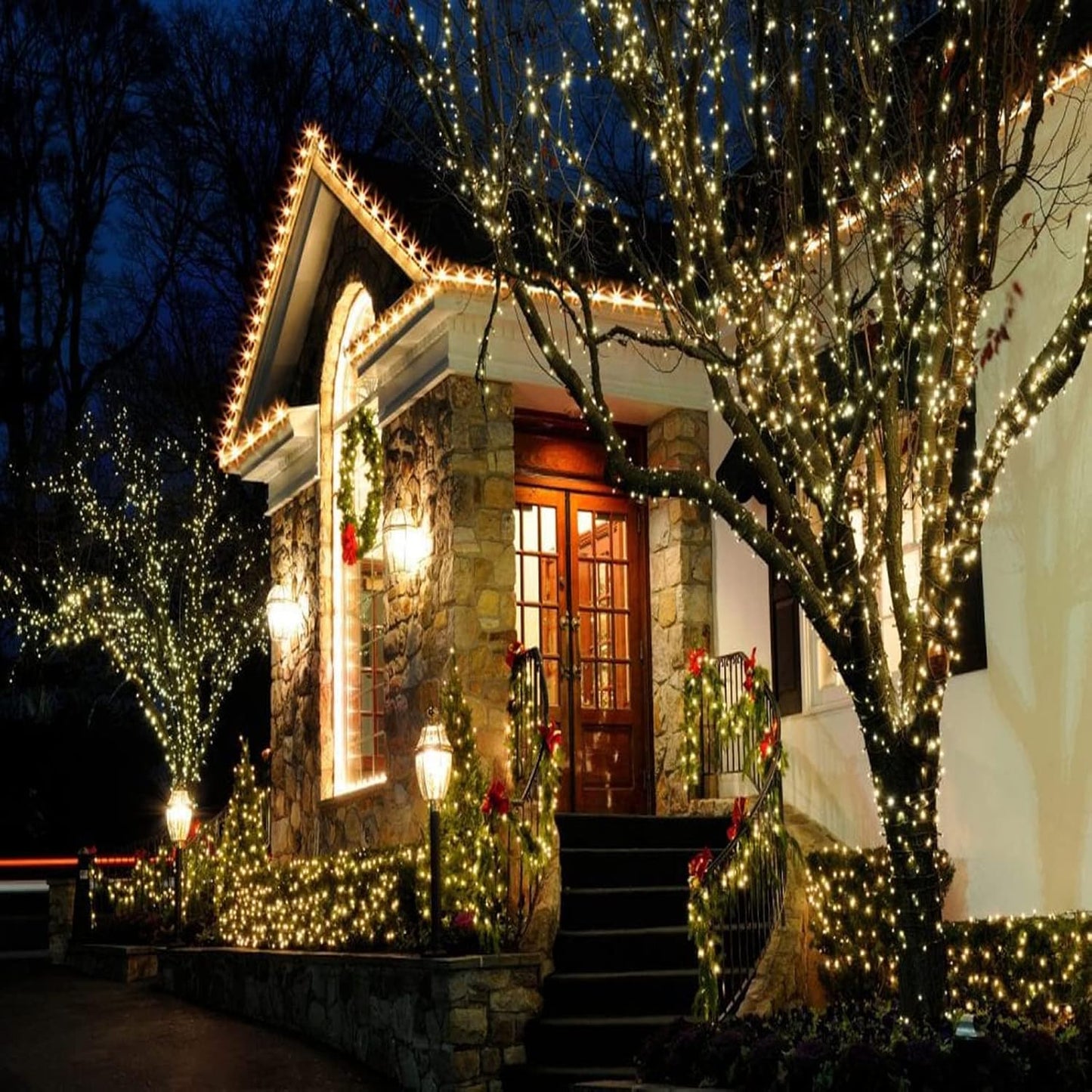 Festive Lights Worry Free LED String Lights 25ft - Sealed Bulb No Heat No Smoke Safe for Sleeping Areas and Family Rooms