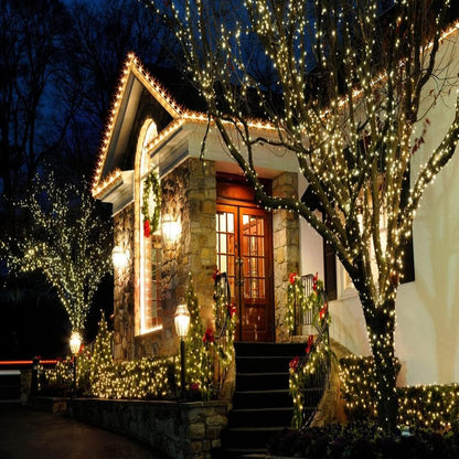 Festive Lights Worry Free LED String Lights 25ft - Sealed Bulb No Heat No Smoke Safe for Sleeping Areas and Family Rooms
