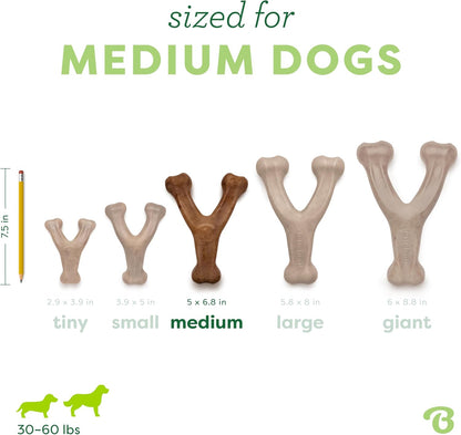 five size tiers from tiny to giant plus 2-pack bundles for multi-dog homes