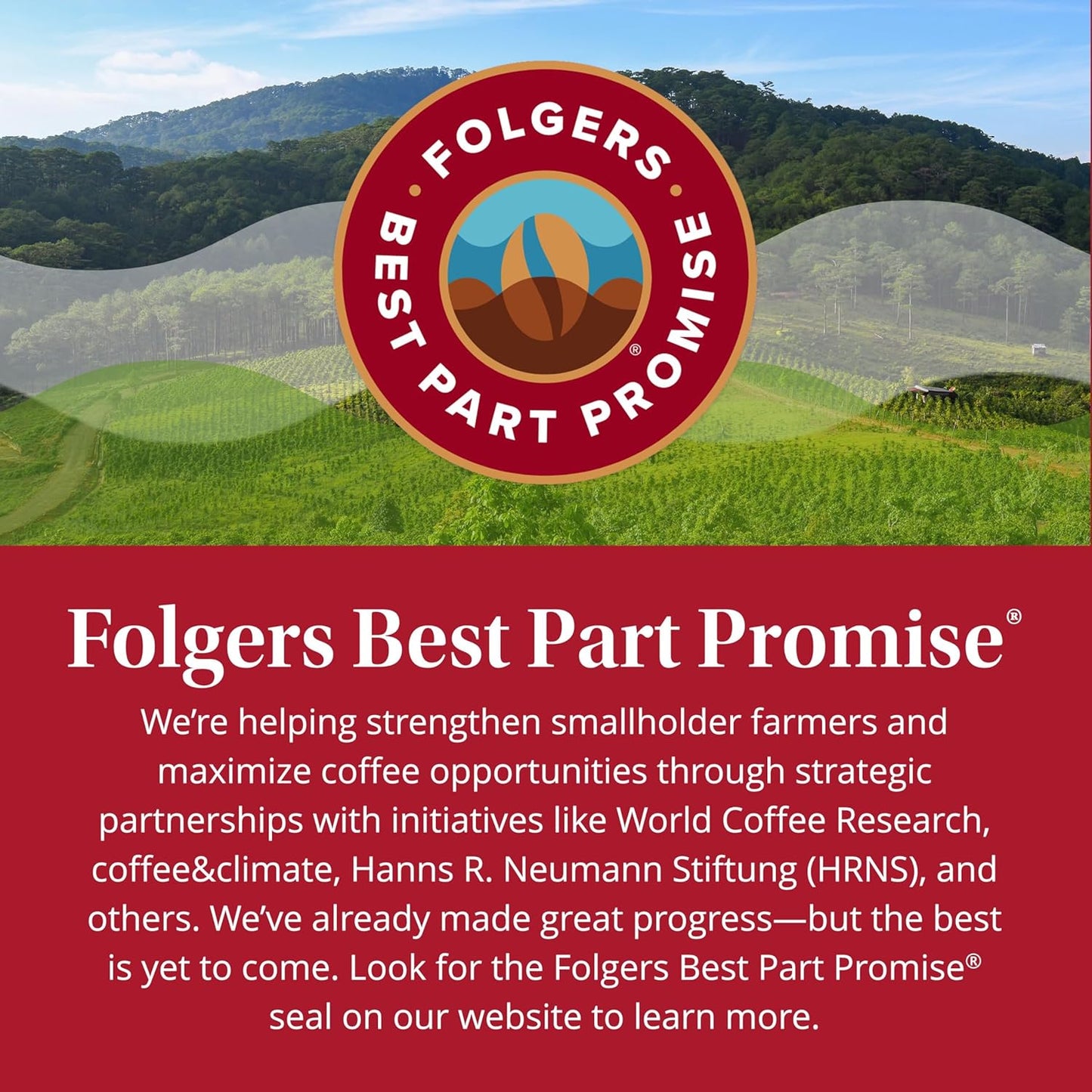 Folgers Classic Roast Instant Coffee – Office Desk Brew for Fast Morning Focus, No Equipment Needed