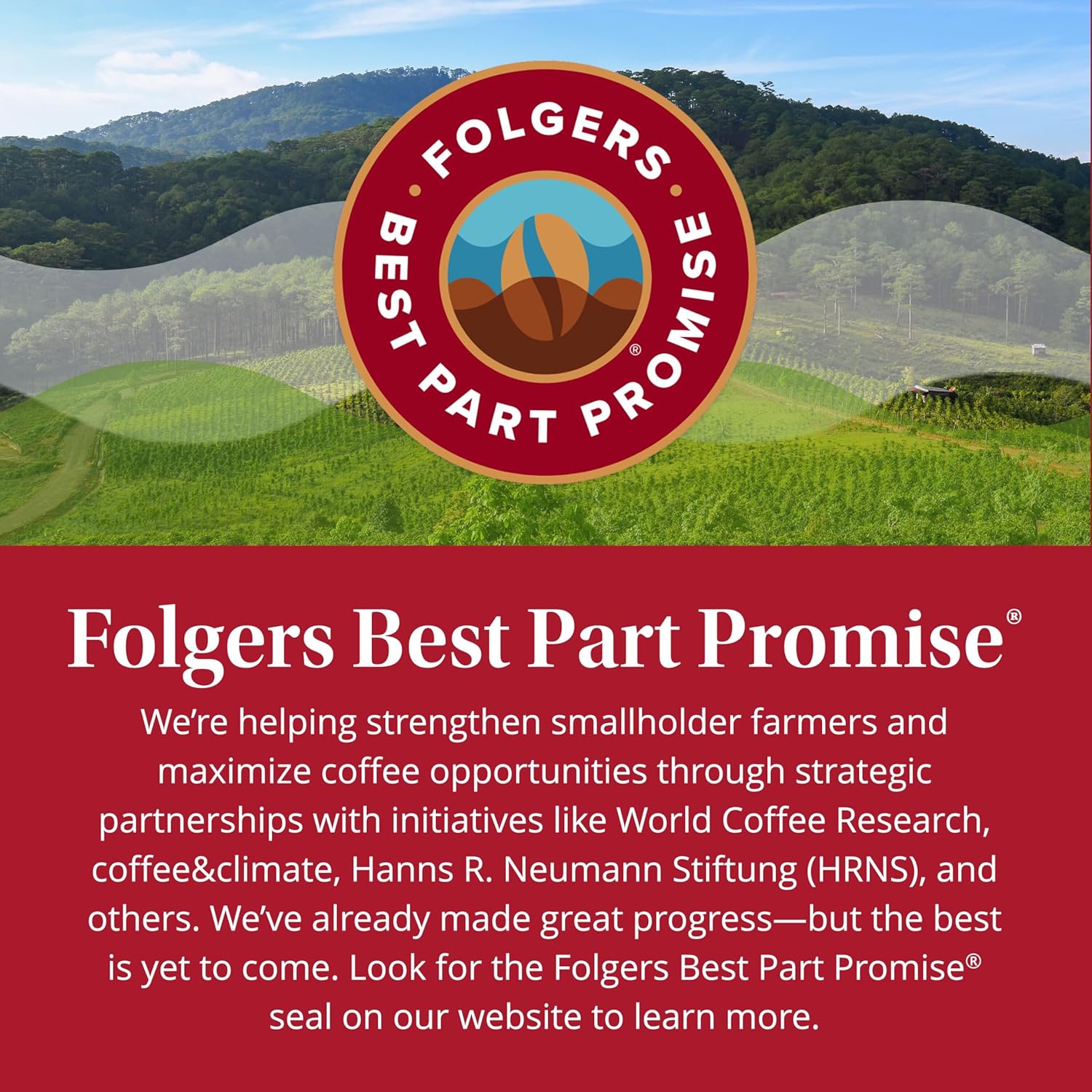 Folgers Classic Roast Instant Coffee – Office Desk Brew for Fast Morning Focus, No Equipment Needed