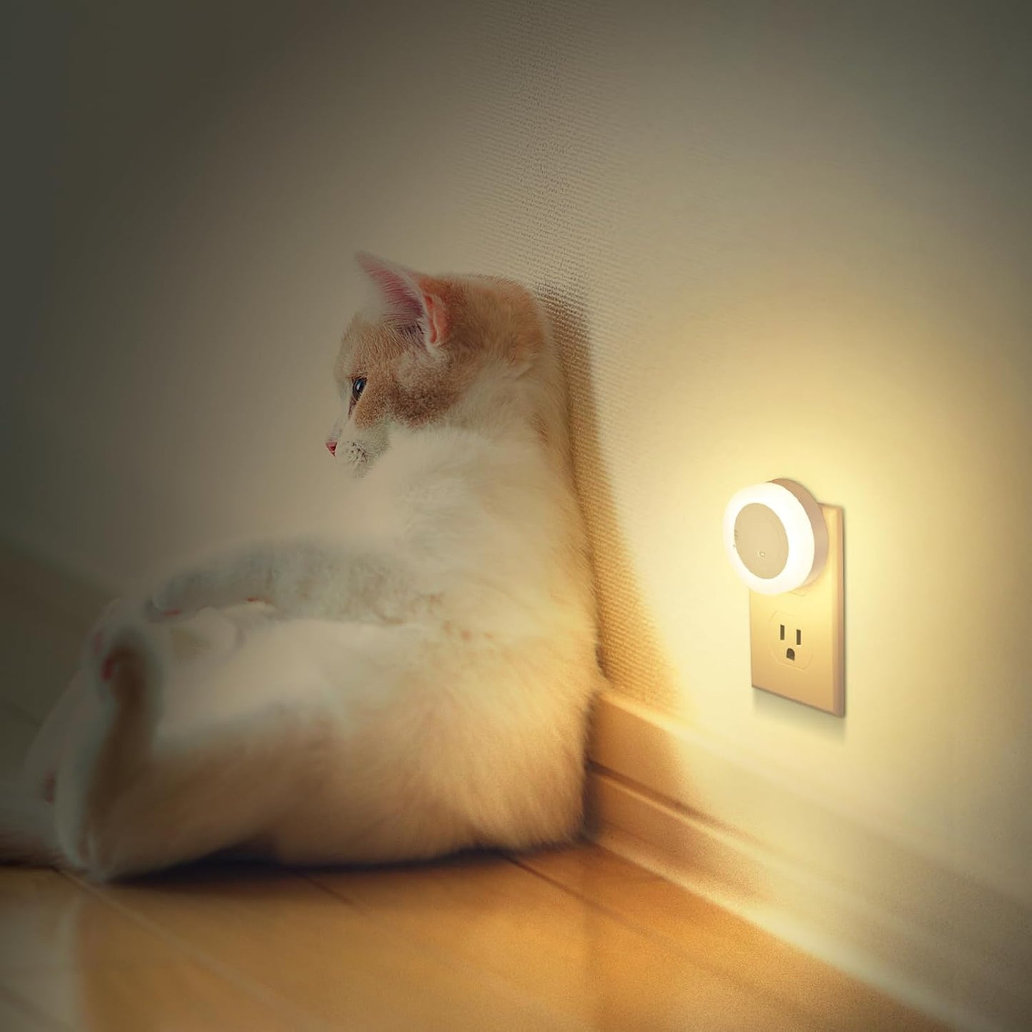 FOLKSMATE LED Plug in Nightlight – Smoke Free Flame Free Bedroom and Basement Light, 2700K Soft Glow
