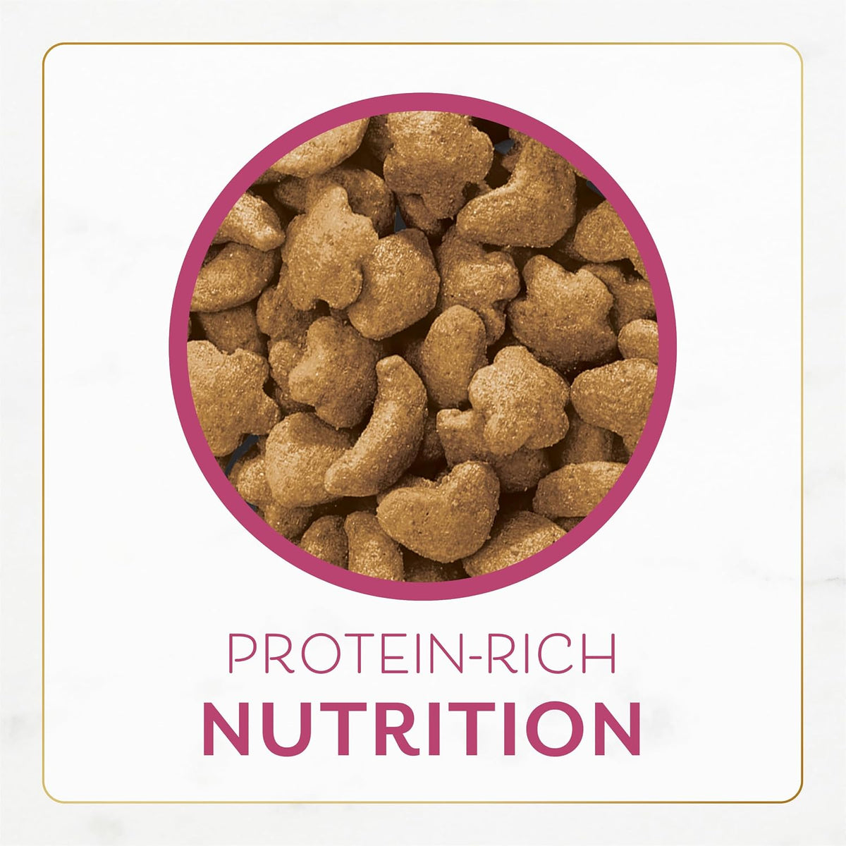 Fancy Feast Purina Gourmet Cat Food as a Special-occasion Gift for Cat Owners