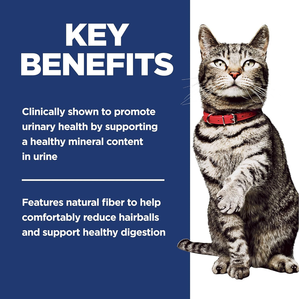 formulated for adult cats aged 1–6 and suitable for all breed sizes