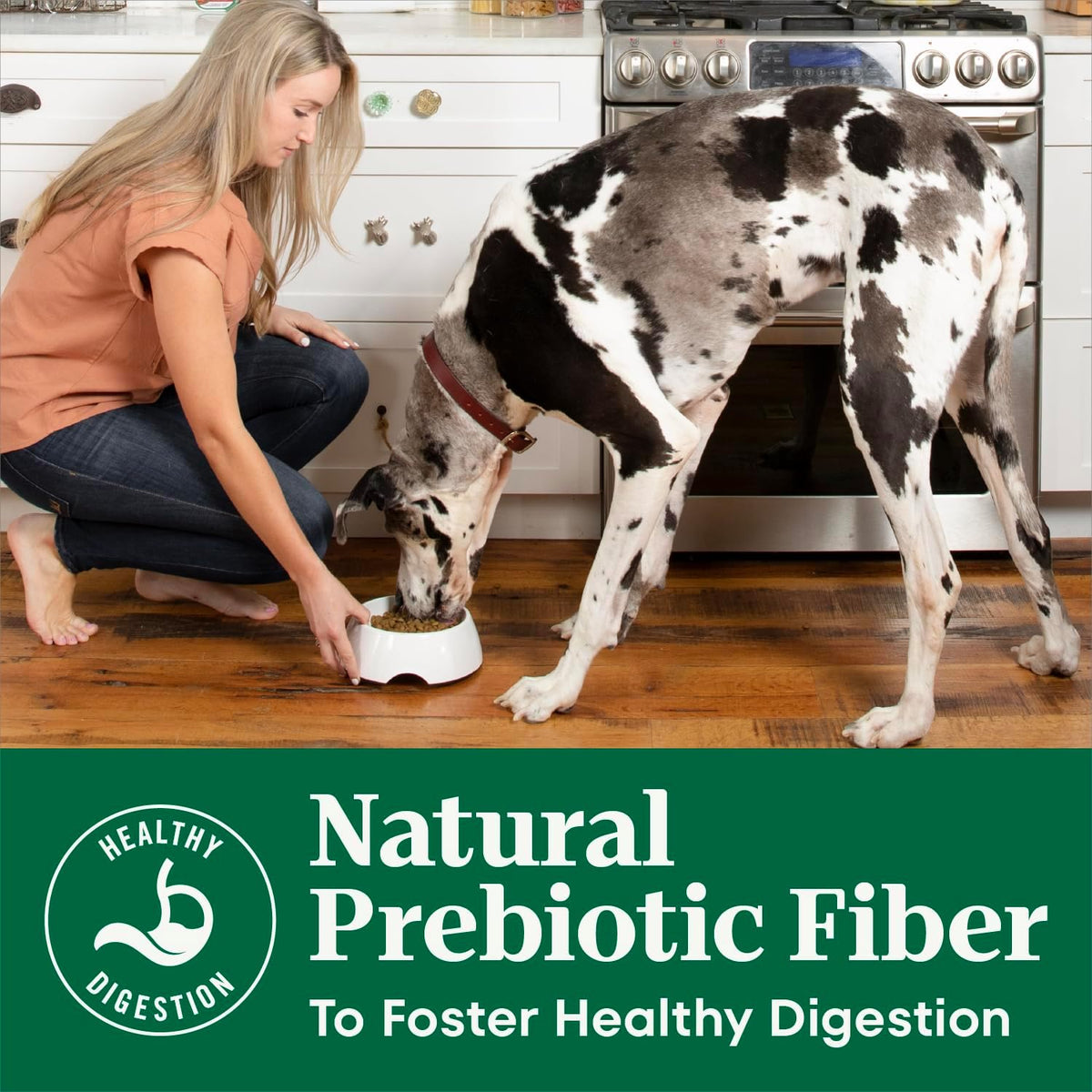four flavor variants (chicken, lamb, beef, salmon) across 7 size configurations from 4.5 lb to 36 lb