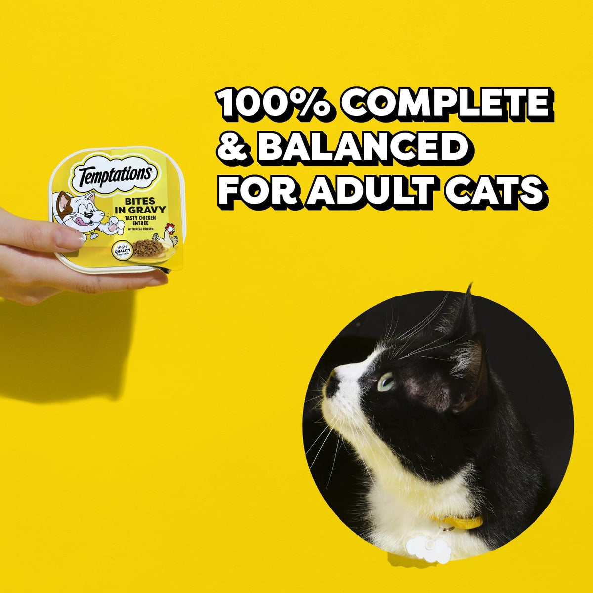 four flavors: tasty chicken entree, seafood medley, backyard cookout, and catnip fever