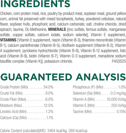 free from artificial colors, flavors, and preservatives