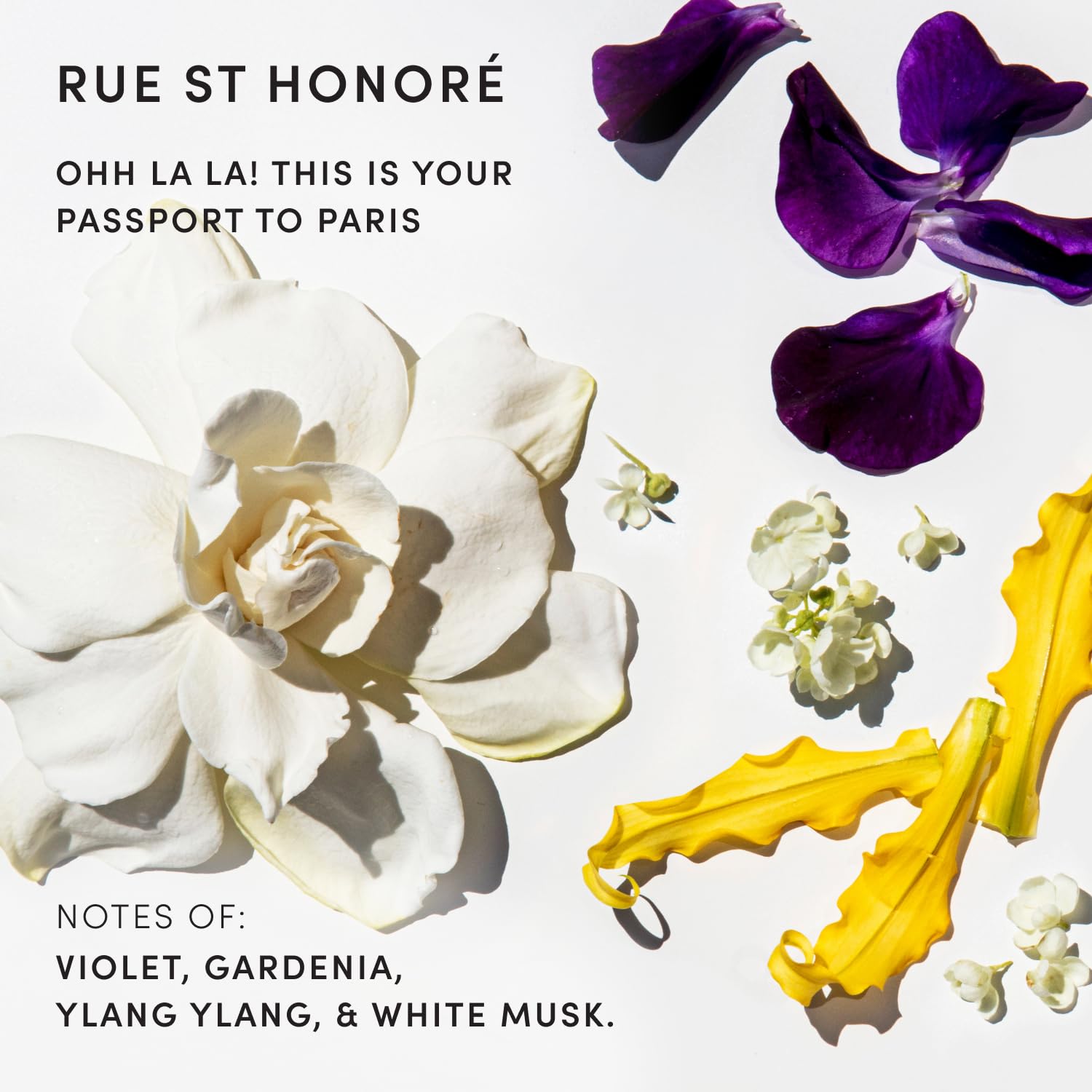 free from parabens, phthalates, and sulfates