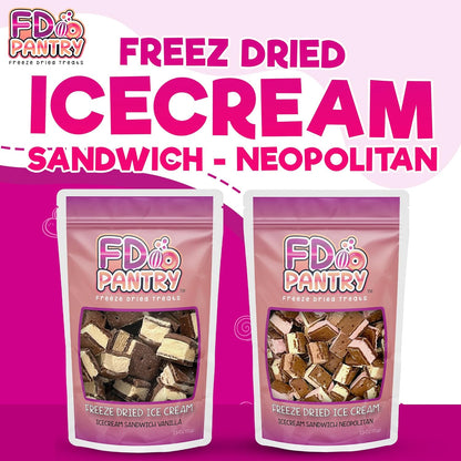Neapolitan Freeze Dried Ice Cream Snack – Mess-Free Road Trip and RV Cooler Alternative