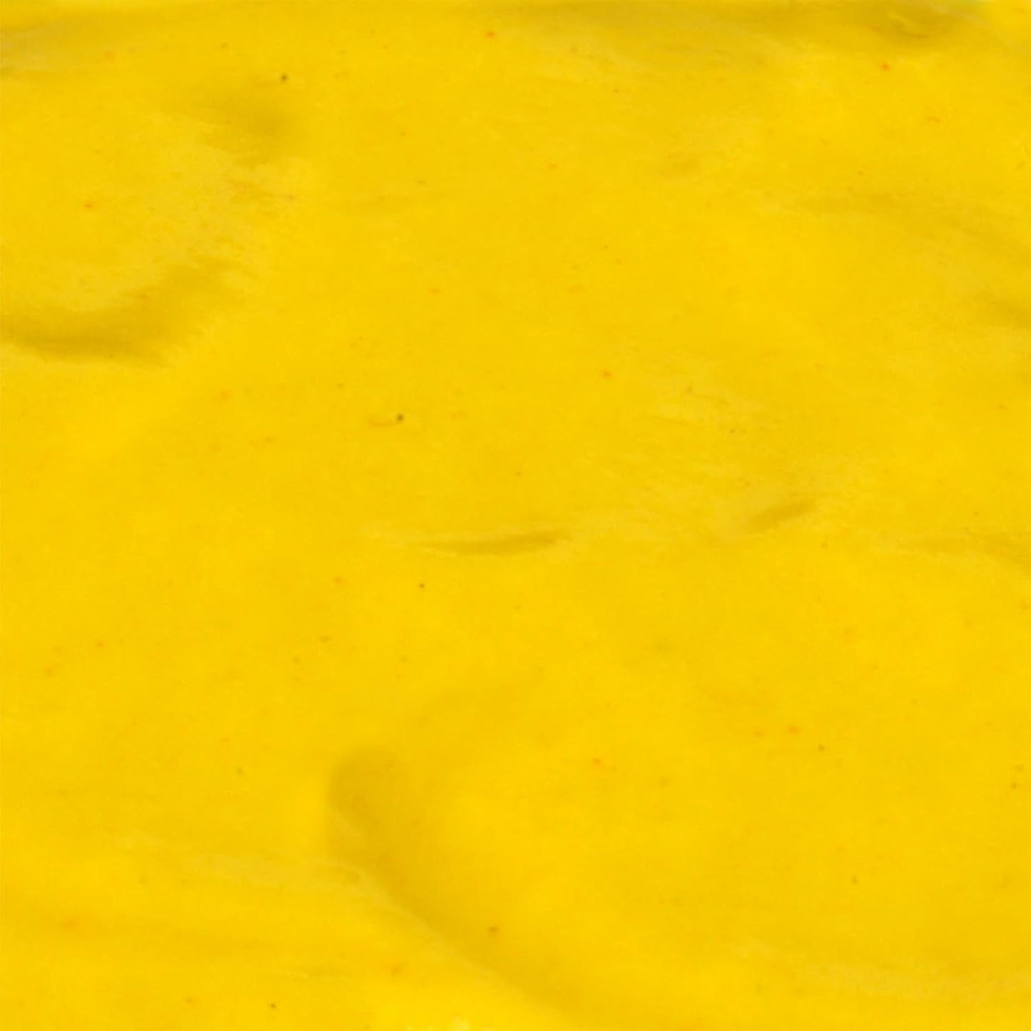 French's Easy-Squeeze Yellow Mustard – Toddler-Safe & Parent-Approved Condiment for Hot Dogs & Pretzels, 14 oz