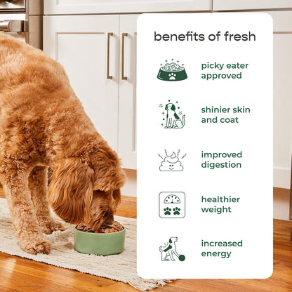 Freshpet Dog Food, Multi-Protein Premium Recipe – Restaurant-Quality Refrigerated Dog Food with US Farm-Raised Chicken, Beef, Egg, and Salmon, 3 lb