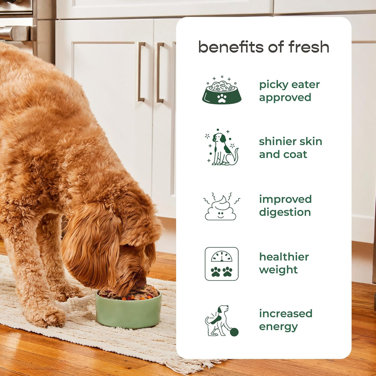 Freshpet Dog Food, Multi-Protein Premium Recipe – Restaurant-Quality Refrigerated Dog Food with US Farm-Raised Chicken, Beef, Egg, and Salmon, 3 lb