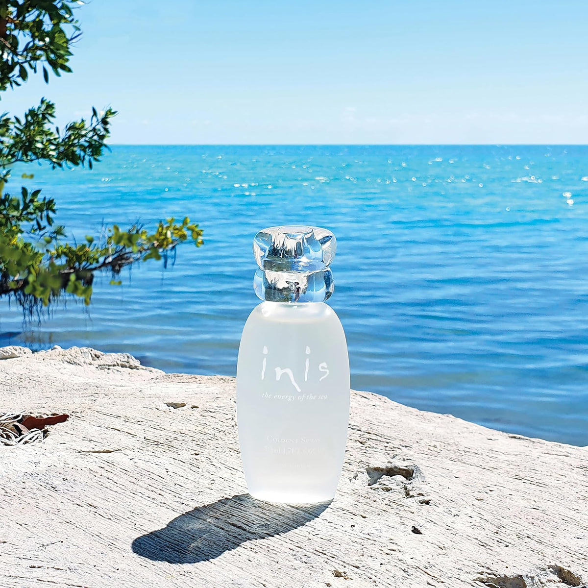 frosted glass bottle designed for giftable presentation