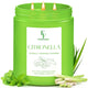 Citronella & Lemongrass - 22oz