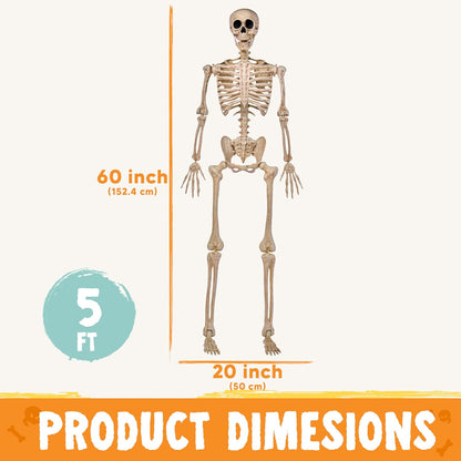 JOYIN Movable Joint Skeleton – Lightweight Spooky Accent for Trick-or-Treat Family Photo Corner
