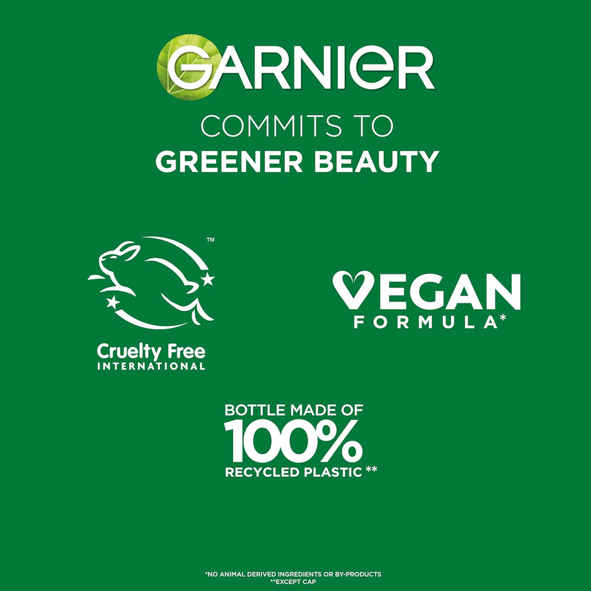 Garnier Fructis Sleek & Shine Smoothing Cream – Intentional Beauty, Minimal Steps Required