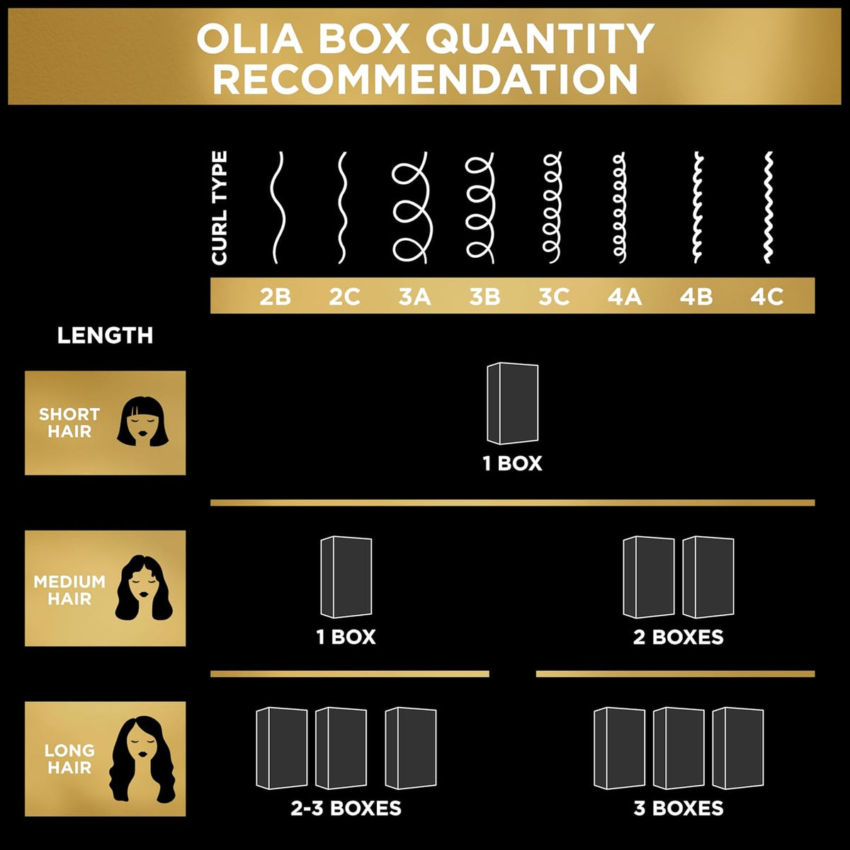 Garnier Olia Elevated Hair Color System – Professional-Grade Oil Formula for Refined At-Home Coloring
