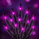 Purple - 20FT