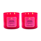 Bath & Body Works 3-Wick Scented Candle - Moonlit Goddess for Aromatherapy Sessions and Breathwork, Up to 45 Hours Burn