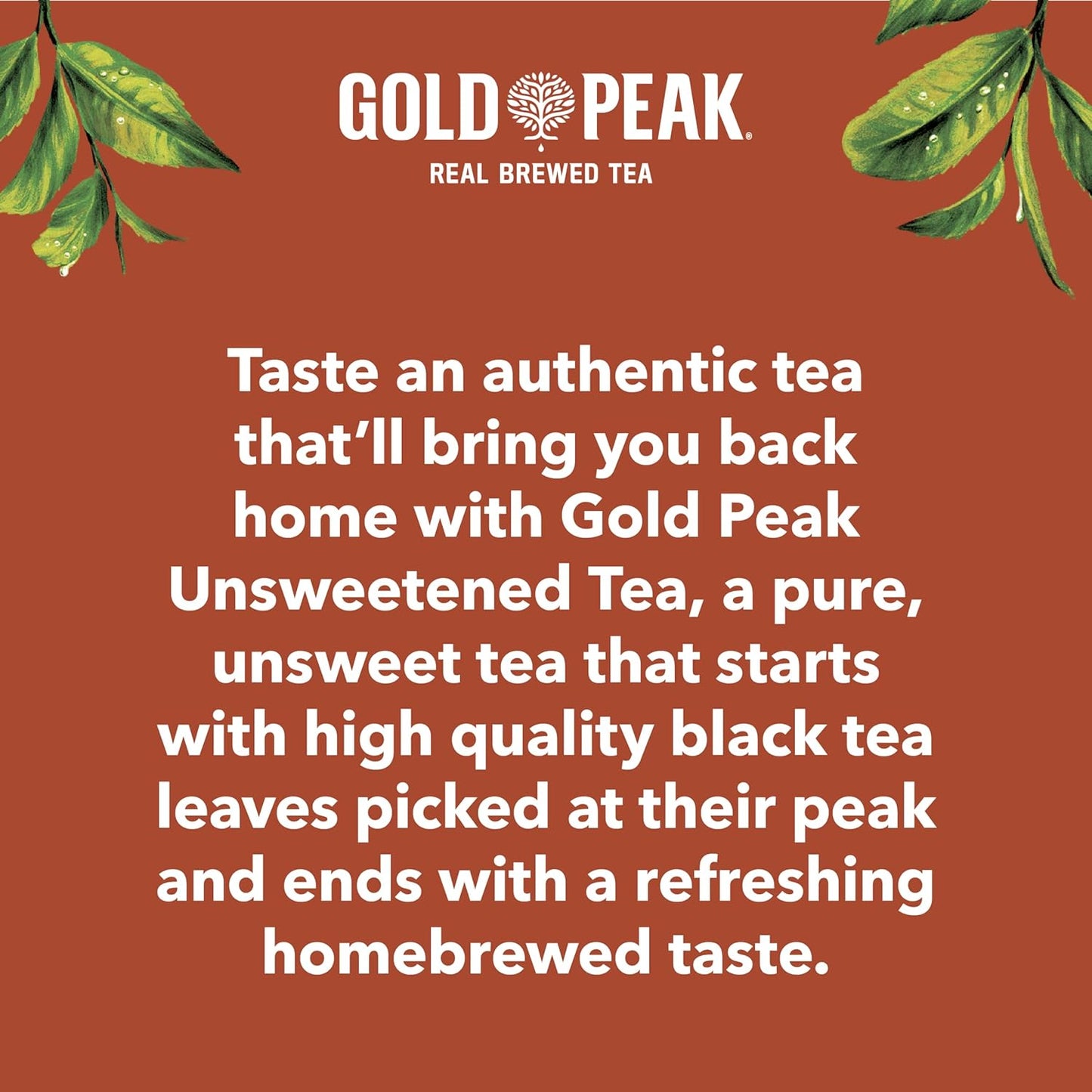 Gold Peak Unsweet Tea – Travel-Ready Bottle for Camping, Hiking, and Road Trips, 16.9 fl oz 6 Pack