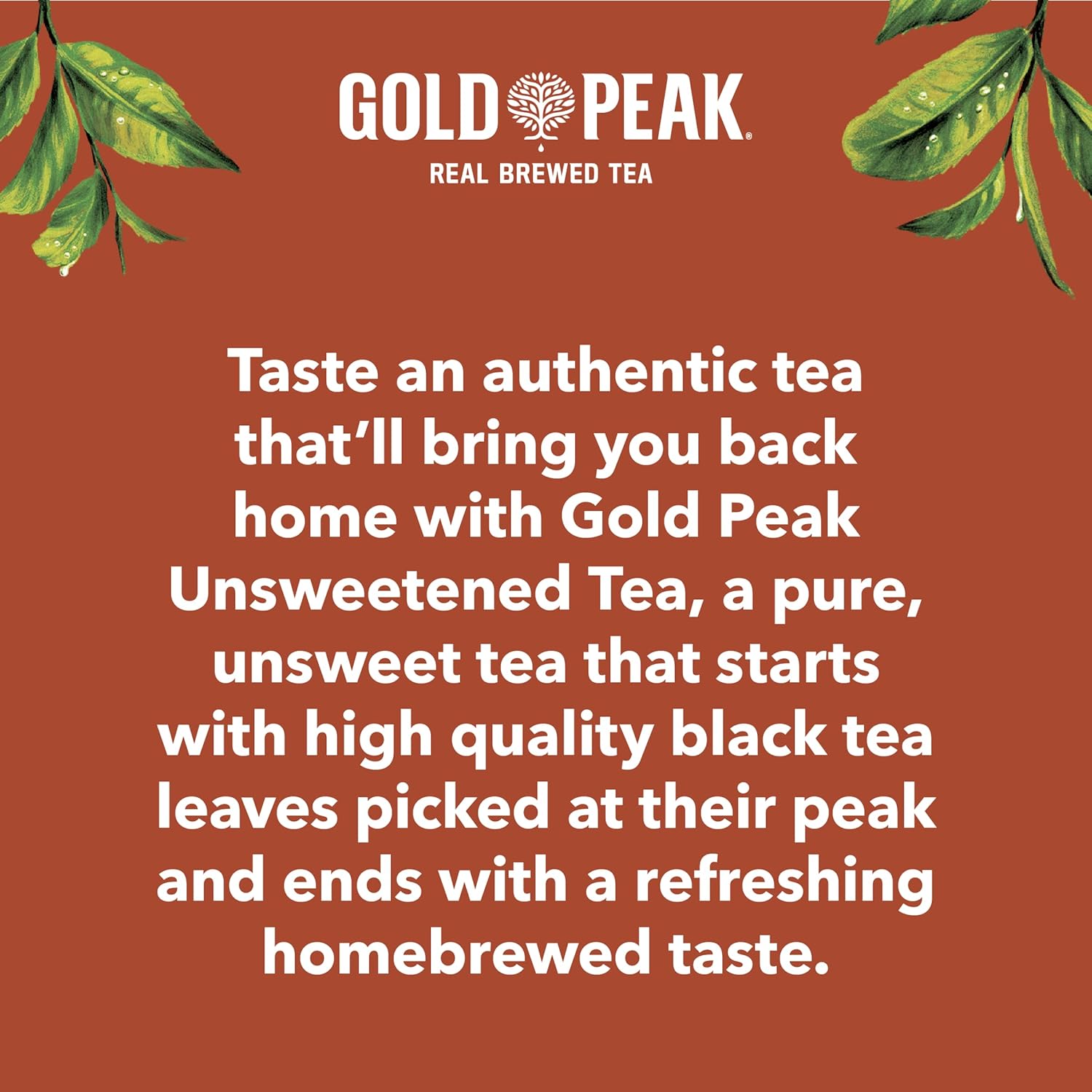 Gold Peak Unsweet Tea – Travel-Ready Bottle for Camping, Hiking, and Road Trips, 16.9 fl oz 6 Pack