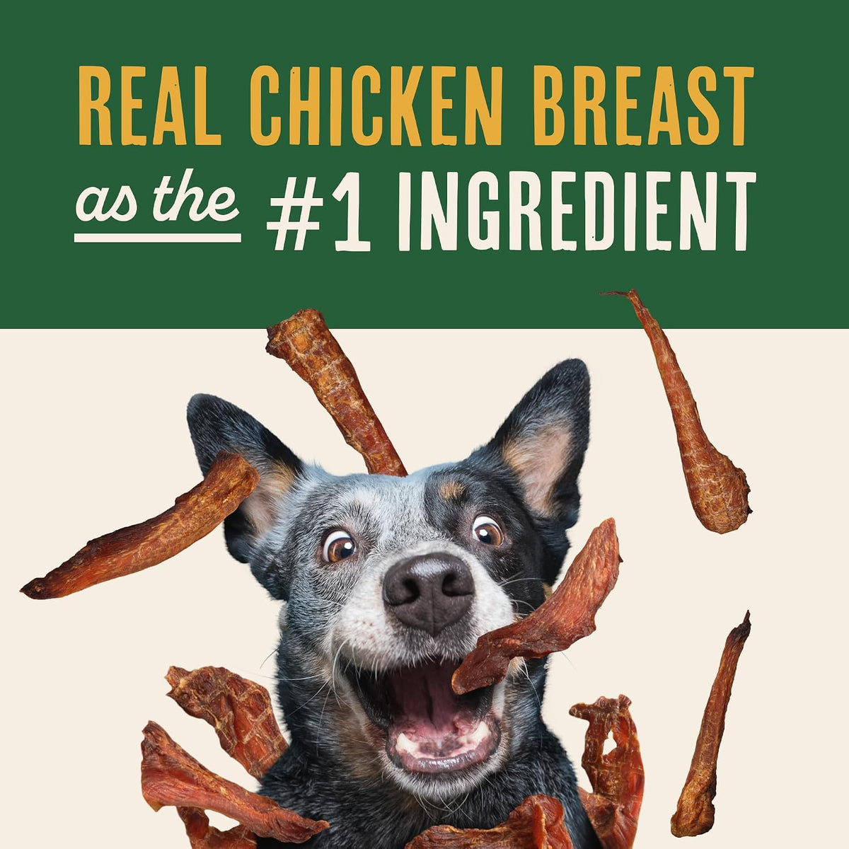 grain-free, corn-free, dairy-free, limited-ingredient recipe