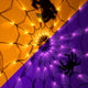 2 Sets (Purple and Orange)