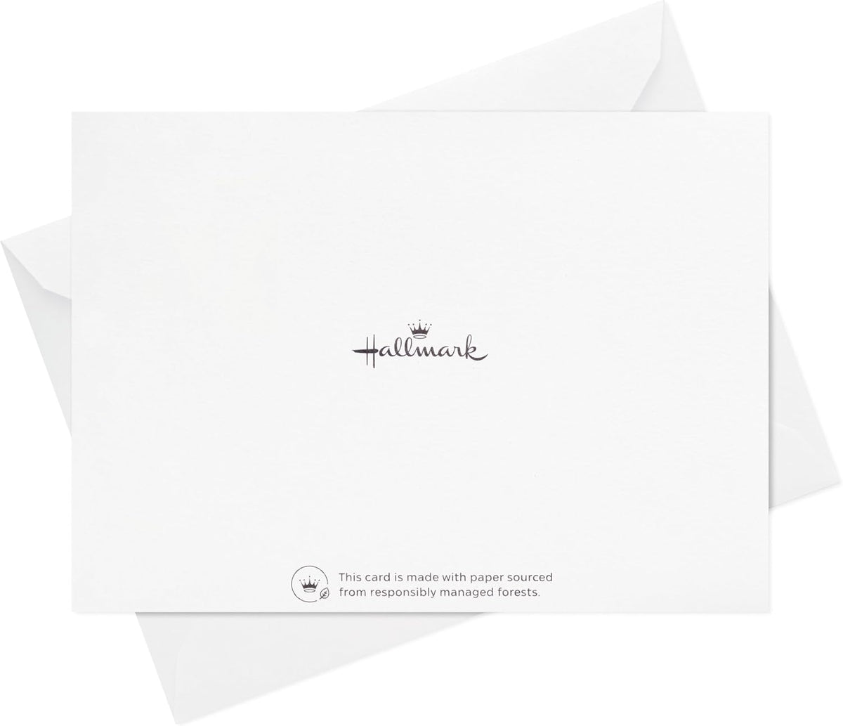 Hallmark Thank You Notes – Productivity-Friendly Card Pack for Busy Professionals, 120 Foil Cards with Envelopes