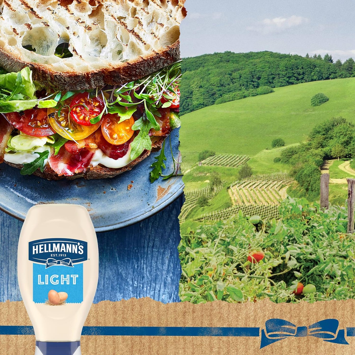 Hellmann's Light Mayonnaise Squeeze Bottle – Calorie-Conscious Pantry Staple for Guilt-Free Sandwiches and Meal Prep