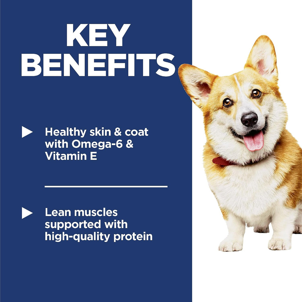 high-quality protein (chicken meal) for lean muscle maintenance