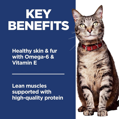 high-quality protein to help maintain lean muscles