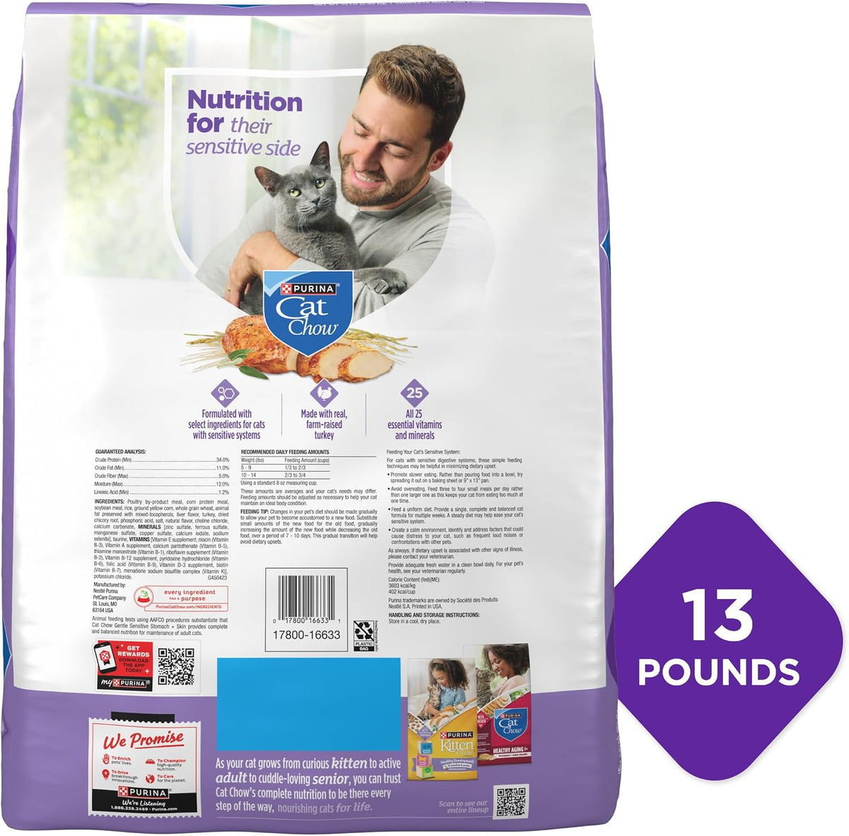 Purina Cat Chow Gentle Sensitive Stomach & Skin Dry Cat Food - Highly Digestible Feeding for Cats with Sensitive Systems