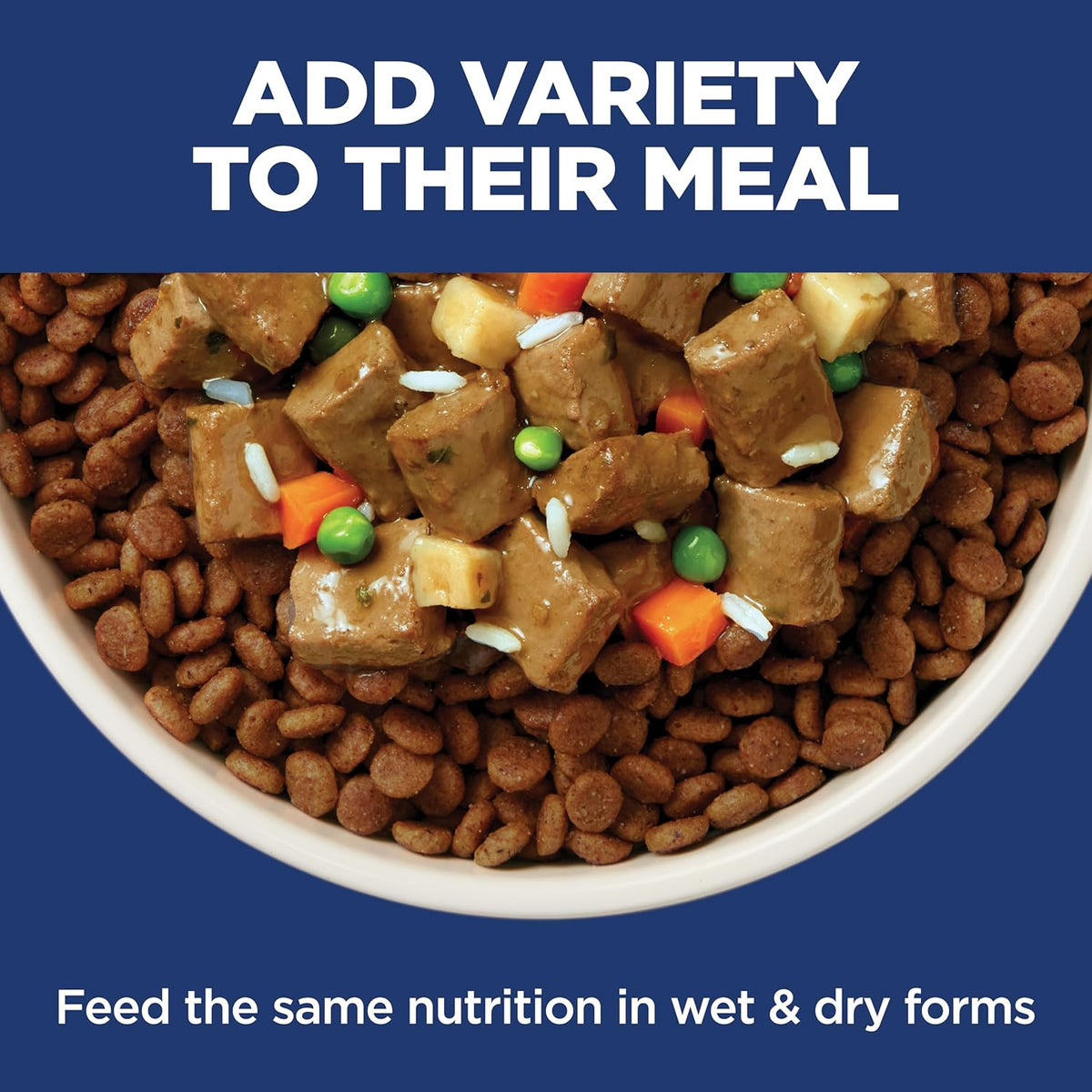 Hill's Science Diet Sensitive Stomach & Skin Formula, 30 lb Chicken | Elevated Everyday Nutrition Crafted in the USA