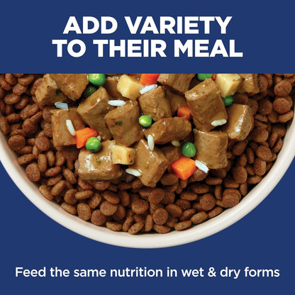 Hill's Science Diet Sensitive Stomach & Skin Formula, 30 lb Chicken | Elevated Everyday Nutrition Crafted in the USA