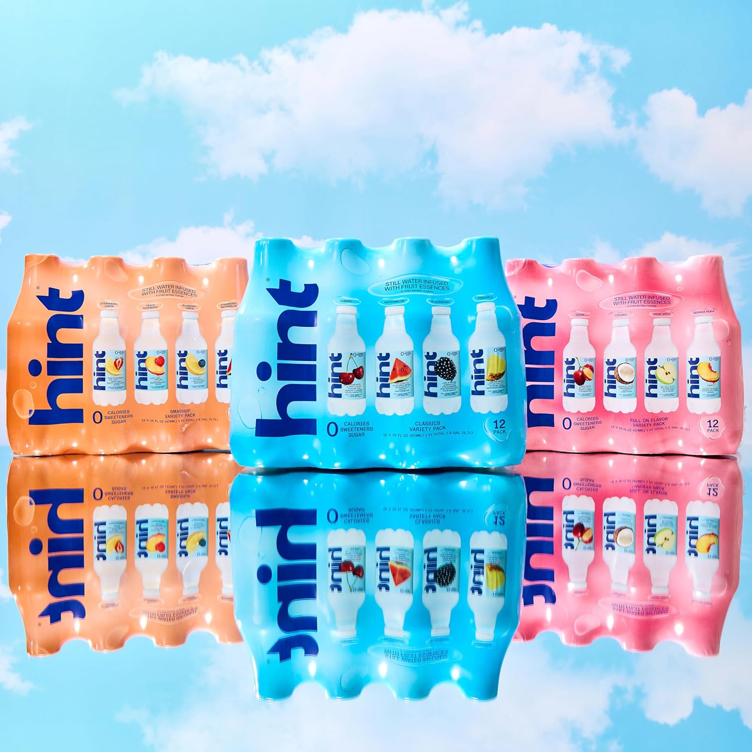 Hint Flavored Water for Camping Trips and Hiking Days, Sturdy BPA-Free 12-Pack