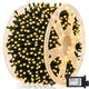 Warm White - 500 LED