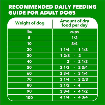 IAMS Proactive Health Adult Minichunks – Vet-Recommended Safe Choice for Small-Breed Daily Feeding, Chicken Recipe