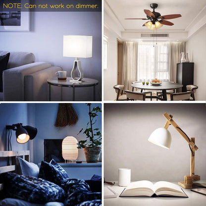 ILC LED Light Bulb 4 Pack – Last Minute Gift Idea for Friends Who Just Moved