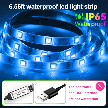 ip65 waterproof led strip (controller and usb interface not waterproof)
