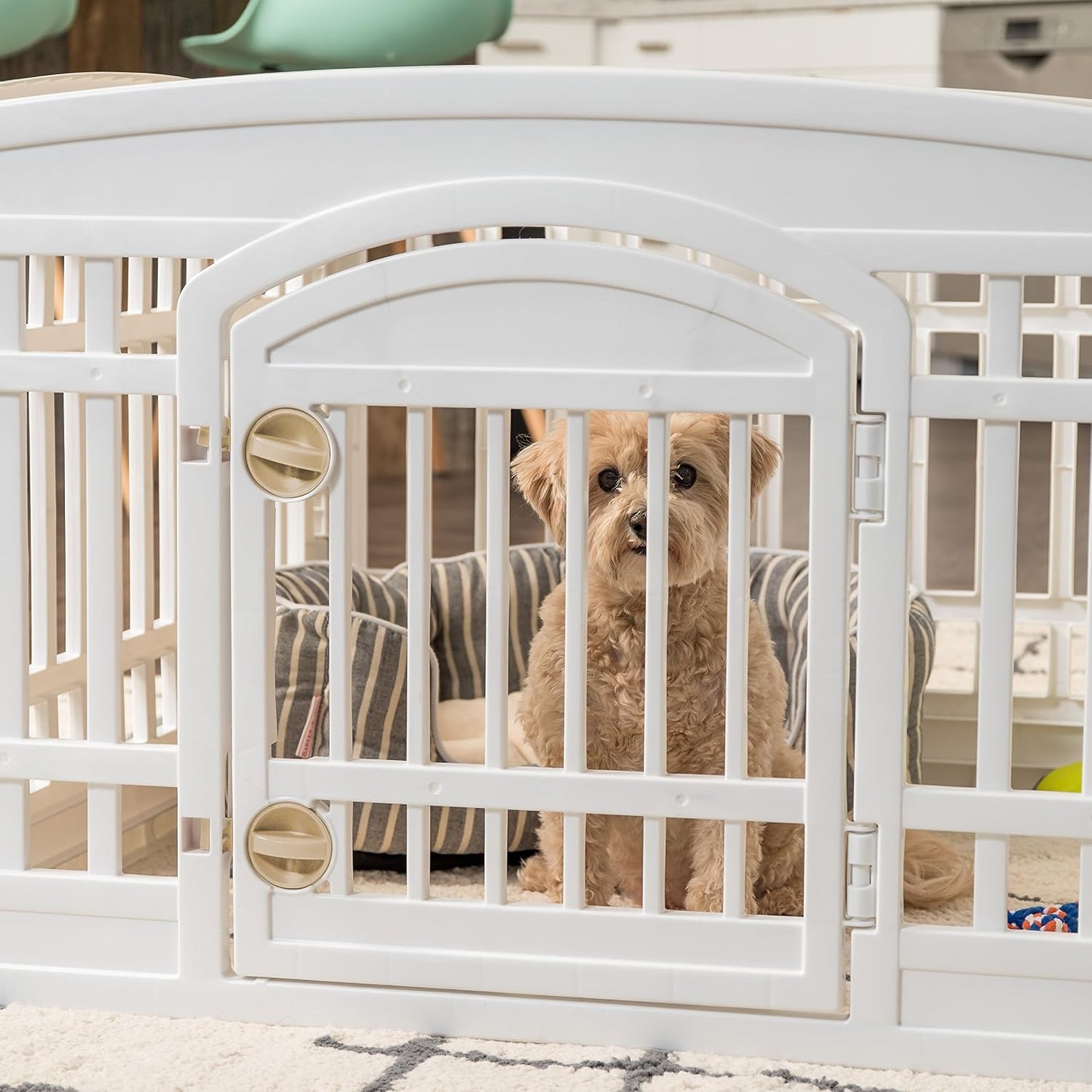 IRIS USA 24" Dog Playpen with Door, 4-Panel Small Dog Playpen, Non-Skid Rubber Feet to Prevent Slipping on Hardwood Floors