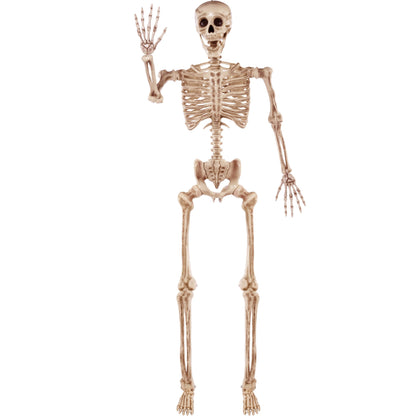 JAFB0CFXMQ3P4