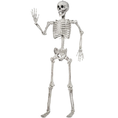JAFB0D7MHLKX6