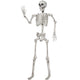 White Skeleton