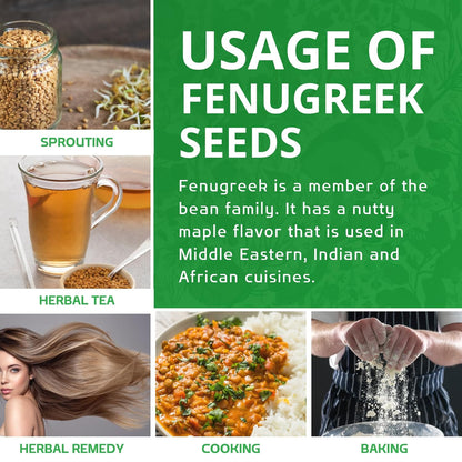 Jiva Organic Fenugreek Seeds 7 Ounce – Whole Methi Seeds for Hormone Health, Overnight Beauty Water & Self-Care Reset