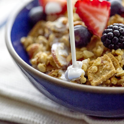 keto-friendly, low-sugar macronutrient profile