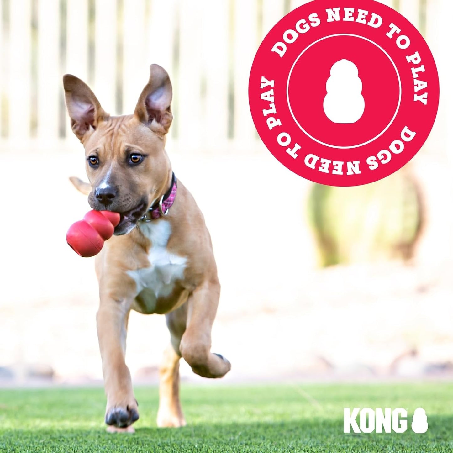 KONG Flyer Forgiving Rubber Fetch Disc for Rough-Playing Dogs, Safer Outdoor Dog Toy for Daily Exercise