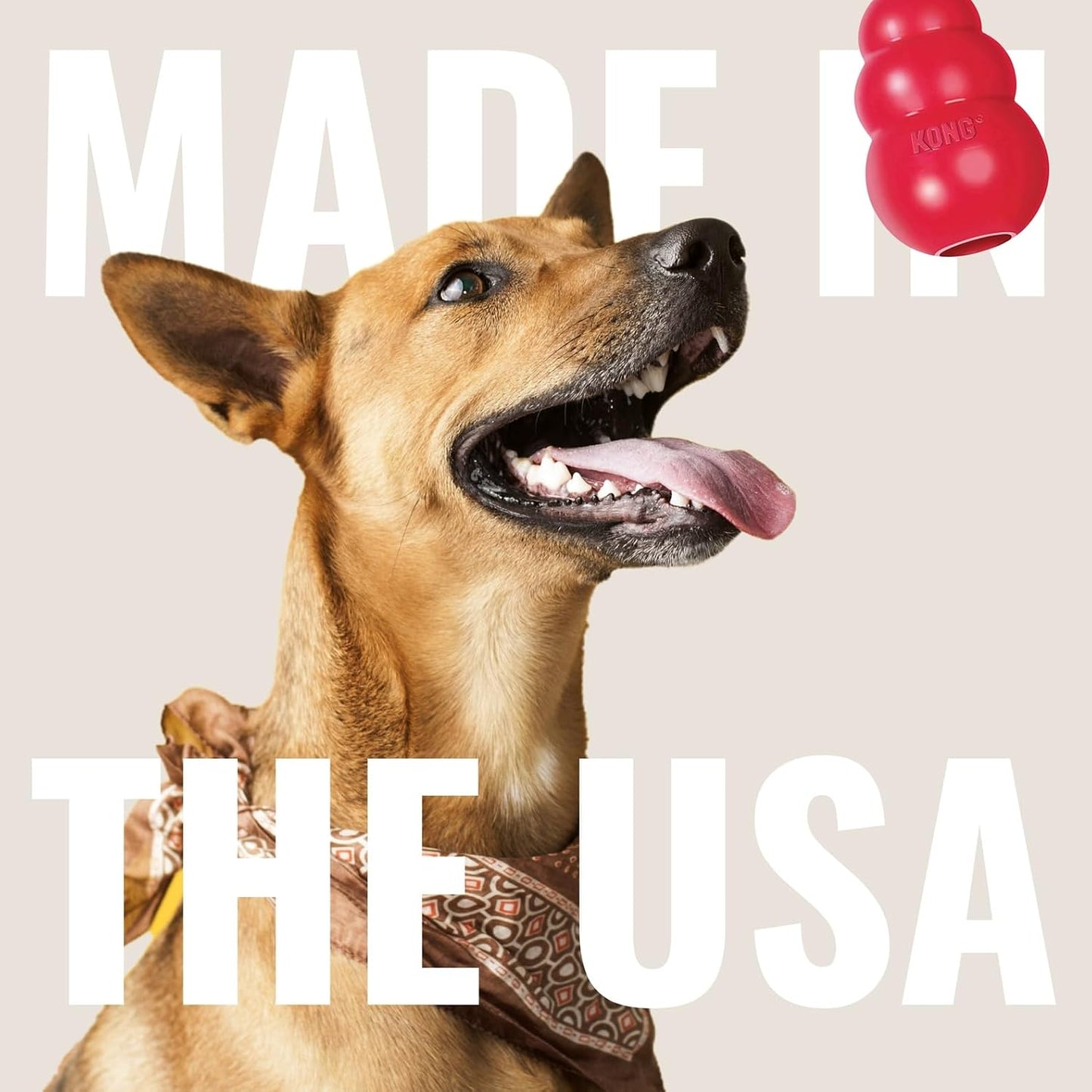 KONG Flyer Forgiving Rubber Fetch Disc for Rough-Playing Dogs, Safer Outdoor Dog Toy for Daily Exercise