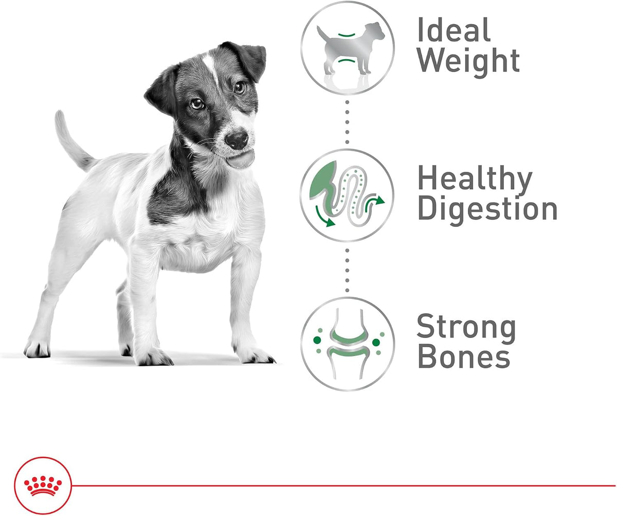 l-carnitine and tailored energy levels to help maintain ideal weight without overfeeding