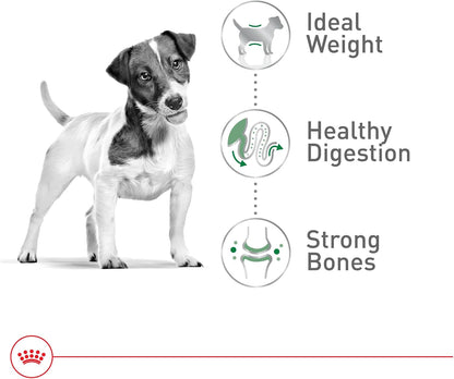 l-carnitine and tailored energy levels to help maintain ideal weight without overfeeding