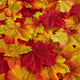 Orange Yellow Red